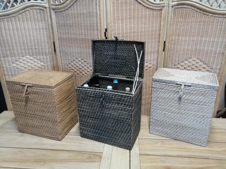 foto1